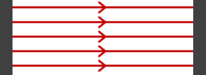 An image in a quiz