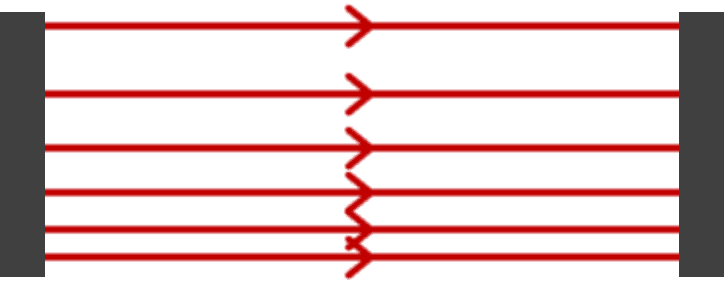 An image in a quiz