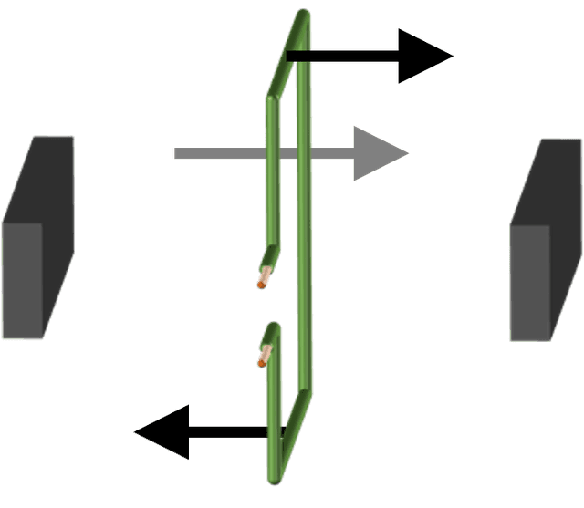 An image in a quiz
