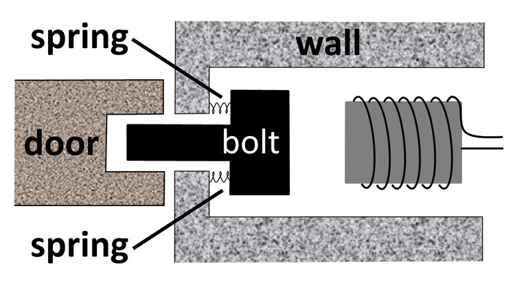 An image in a quiz