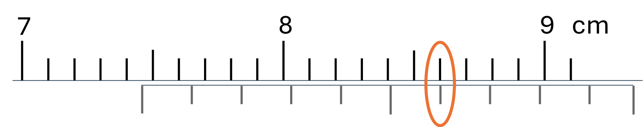 An image in a quiz