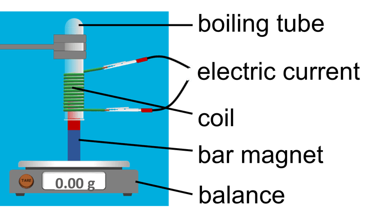 An image in a quiz
