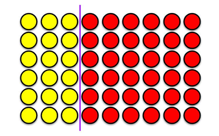 An image in a quiz