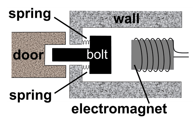 An image in a quiz
