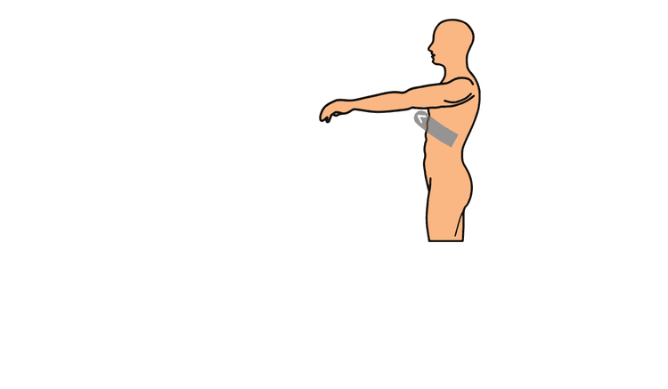 An image in a quiz