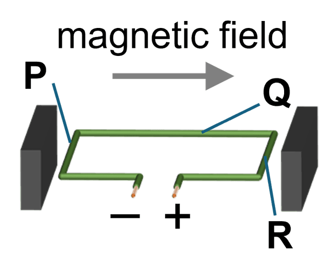 An image in a quiz