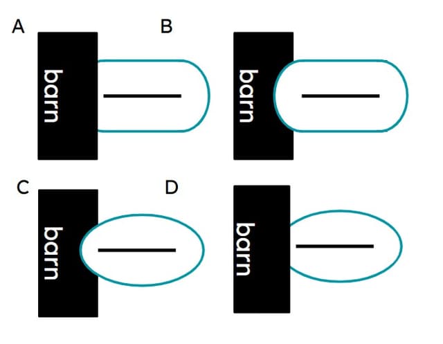 An image in a quiz