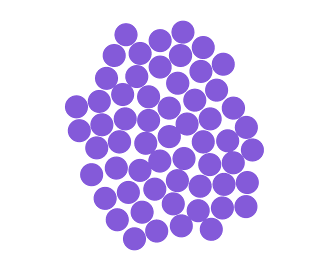 An image in a quiz