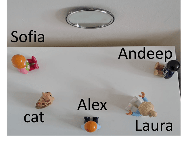 An image in a quiz