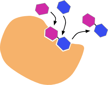 An image in a quiz