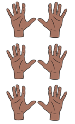 An image in a quiz