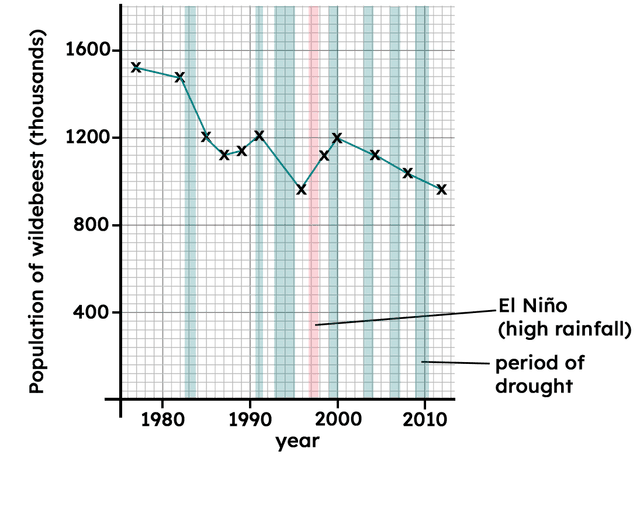 An image in a quiz