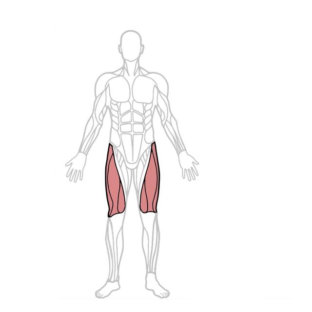 An image in a quiz
