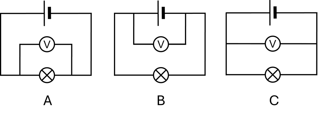 An image in a quiz