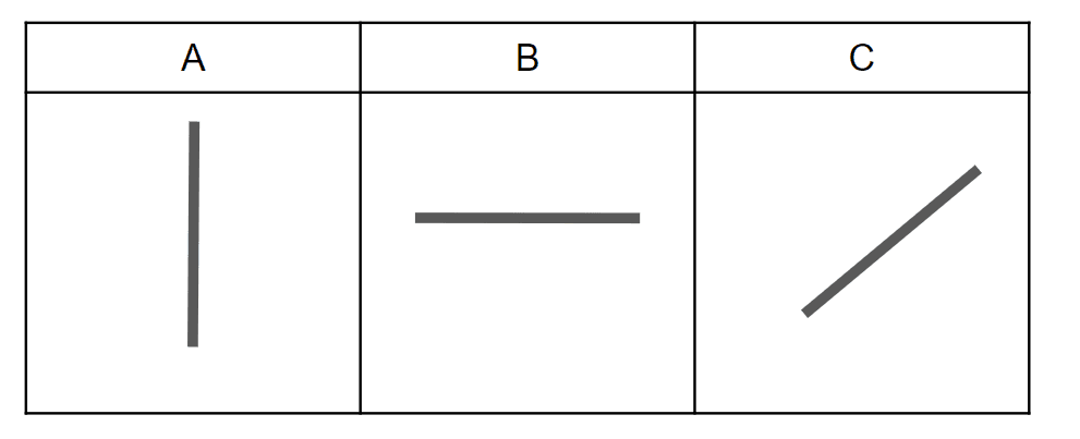 An image in a quiz