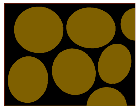An image in a quiz