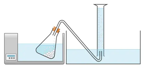 An image in a quiz