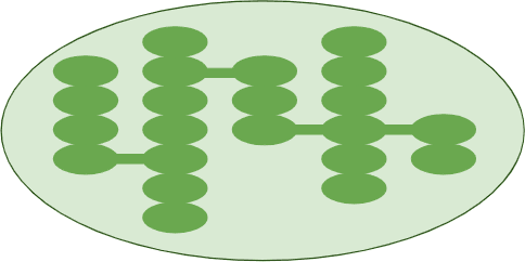 An image in a quiz