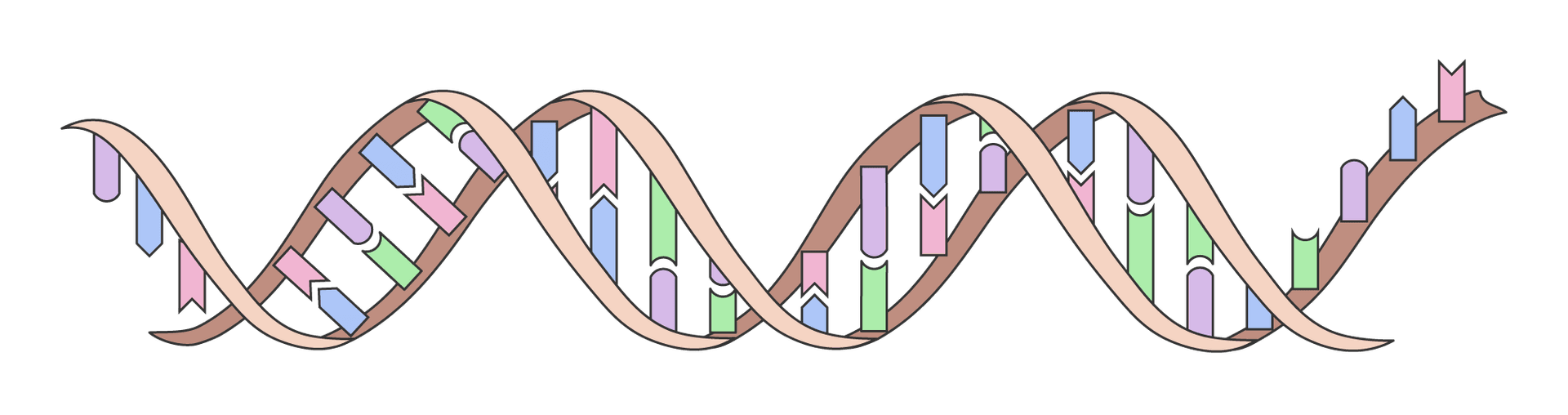 An image in a quiz